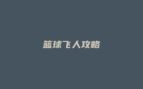 篮球飞人攻略缩略图 篮球飞人攻略