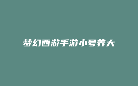 梦幻西游手游小号养大号攻略缩略图 梦幻西游手游小号养大号攻略